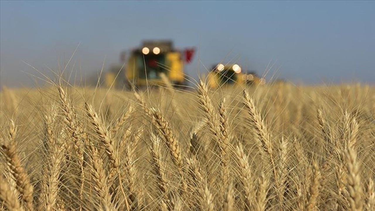 TARIM VE ORMAN BAKANLIĞINDAN KIRSALDAKİ 478 PROJEYE 1 MİLYARA AŞKIN HİBE DESTEĞİ